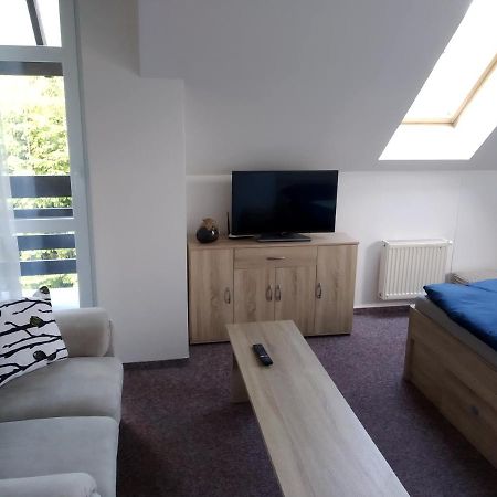Apartmán Violeta Harrachov Exterior foto