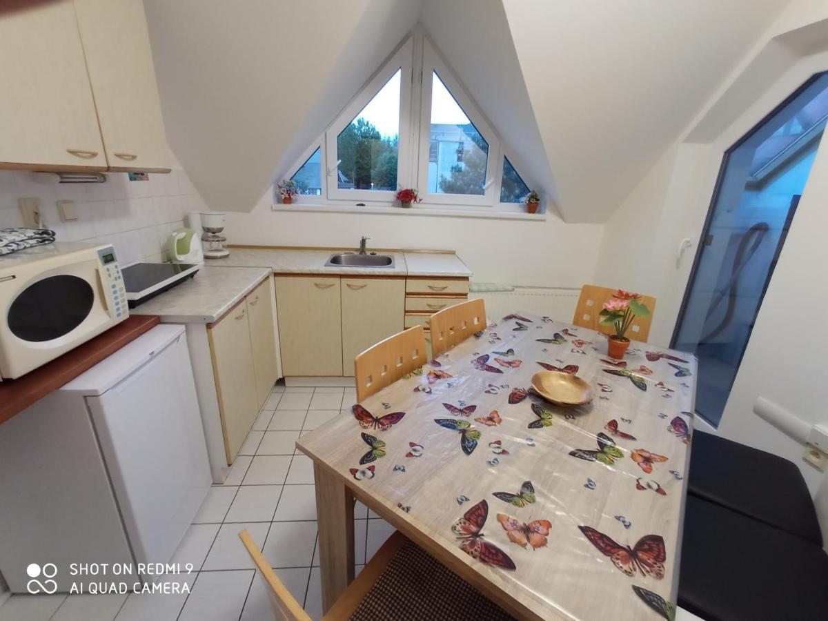 Apartmán Violeta Harrachov Exterior foto