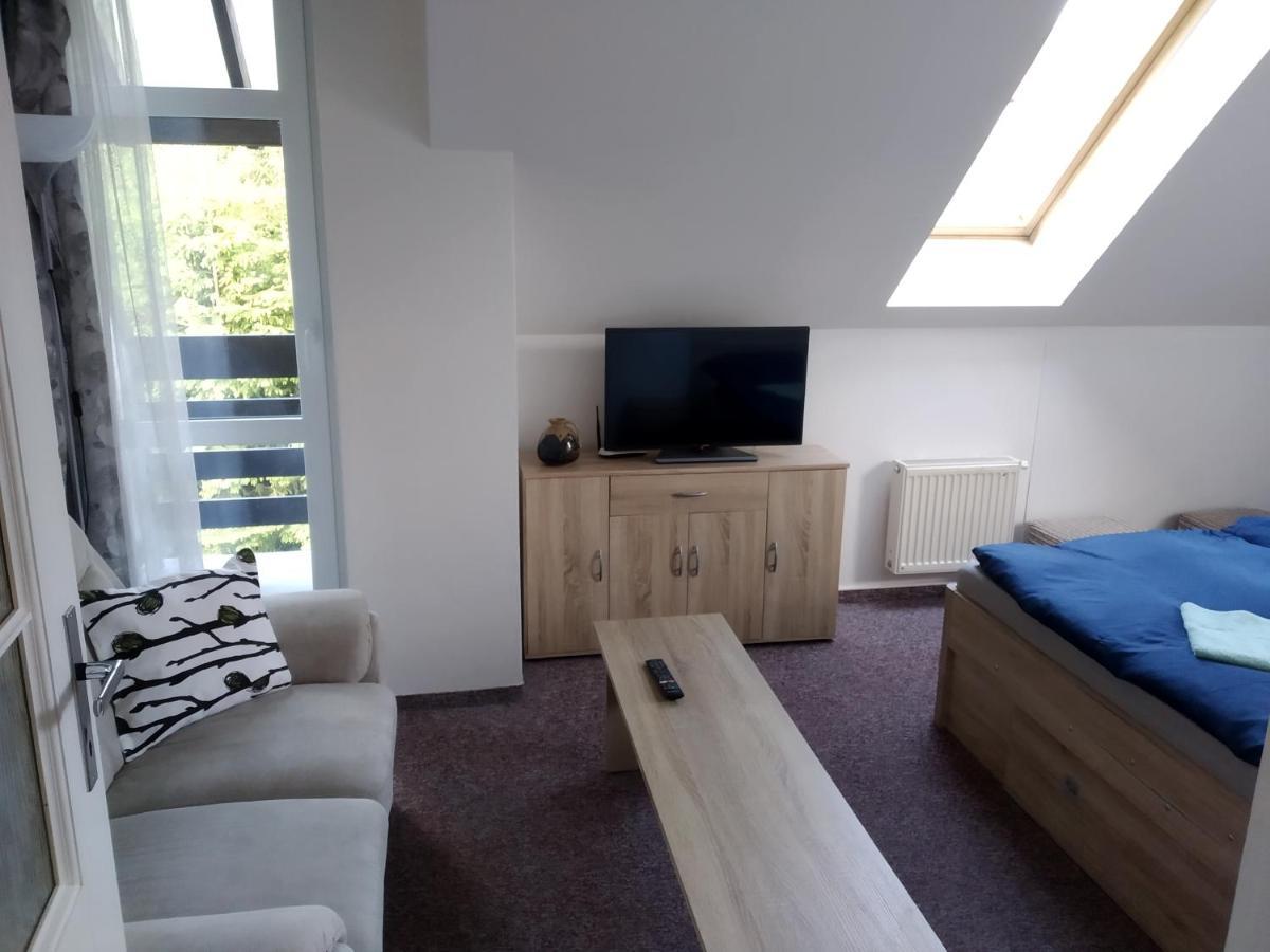 Apartmán Violeta Harrachov Exterior foto