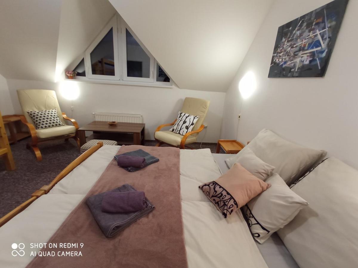 Apartmán Violeta Harrachov Exterior foto